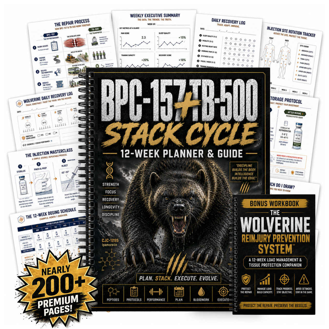 The Wolverine Protocol: 12 Week Peptide Cycle and Recovery Planner