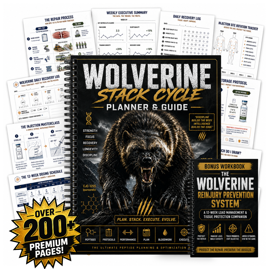 The Wolverine Protocol: 12 Week Peptide Cycle and Recovery Planner for BPC-157 & TB-500 Stack